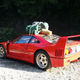 Illustration for article titled Ferrari F-40. Will It Wilderness?